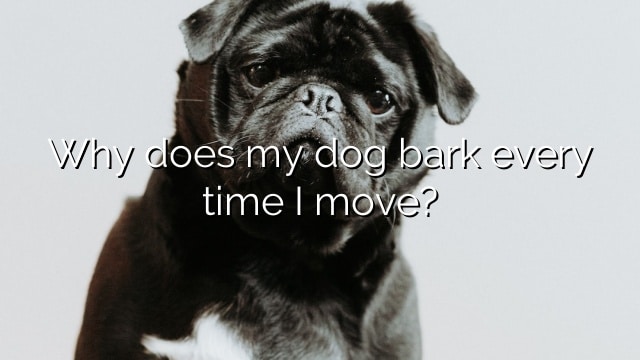 Why does my dog bark every time I move?