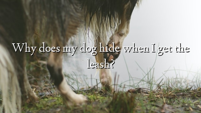 Why does my dog hide when I get the leash?