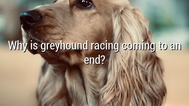 Why is greyhound racing coming to an end?