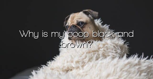 Why is my poop black and brown?