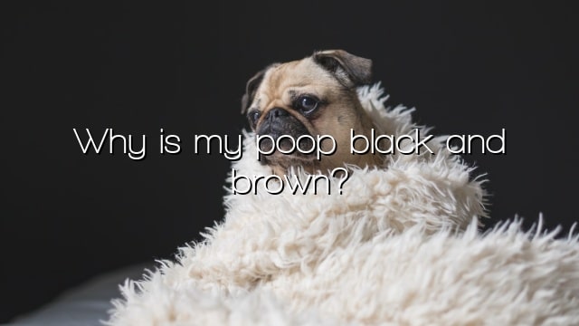 Why is my poop black and brown?