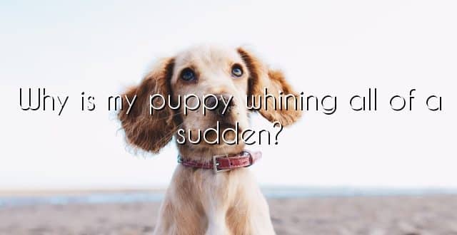 Why is my puppy whining all of a sudden?