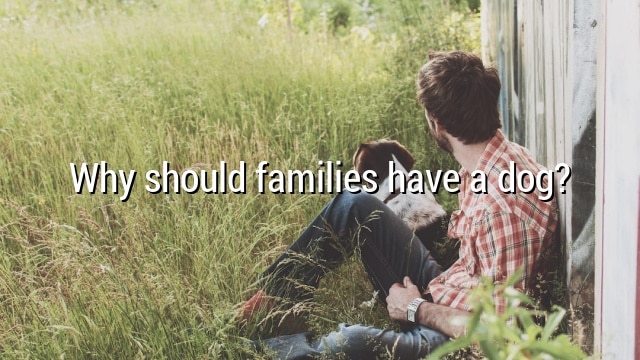 Why should families have a dog?