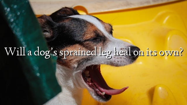 Will a dog’s sprained leg heal on its own?