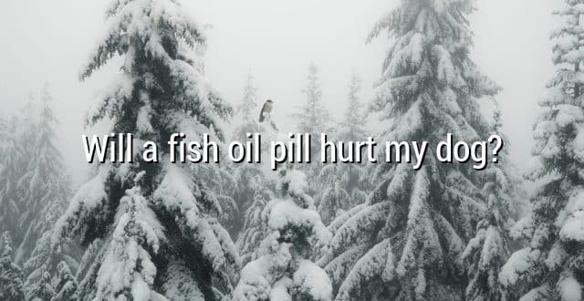 Will a fish oil pill hurt my dog?