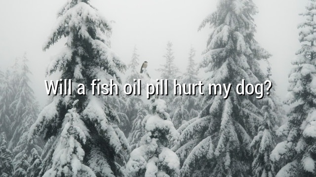 Will a fish oil pill hurt my dog?