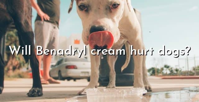Will Benadryl cream hurt dogs?