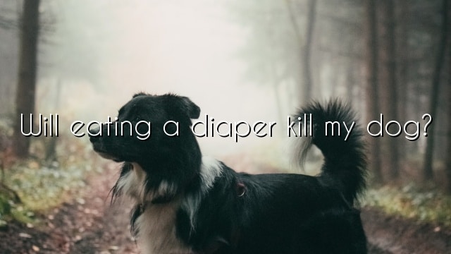 Will eating a diaper kill my dog?